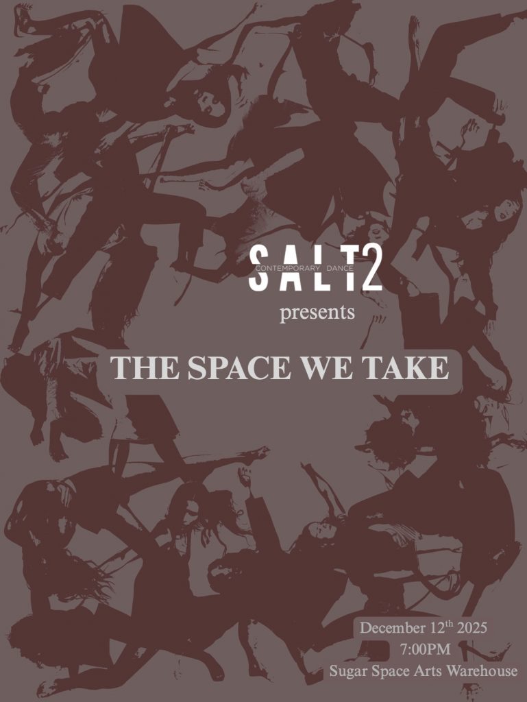 salt2-presents-the-space-we-take-1